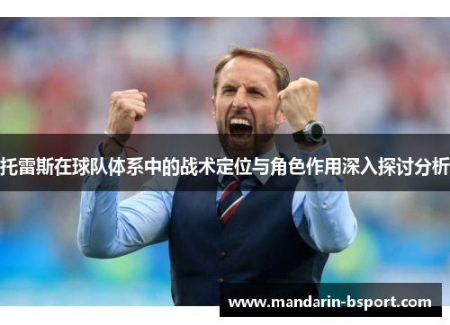 托雷斯在球队体系中的战术定位与角色作用深入探讨分析