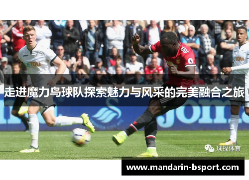 走进魔力鸟球队探索魅力与风采的完美融合之旅