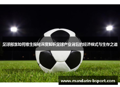 足球部落如何维生揭秘深度解析足球产业背后的经济模式与生存之道