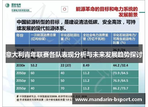 意大利青年联赛各队表现分析与未来发展趋势探讨