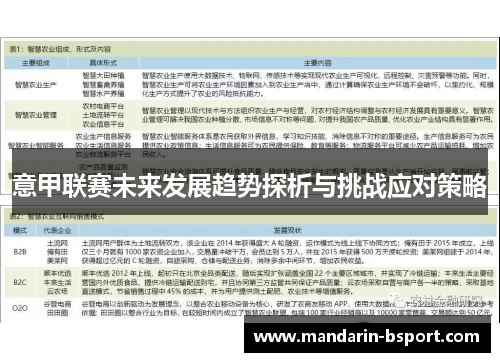 意甲联赛未来发展趋势探析与挑战应对策略