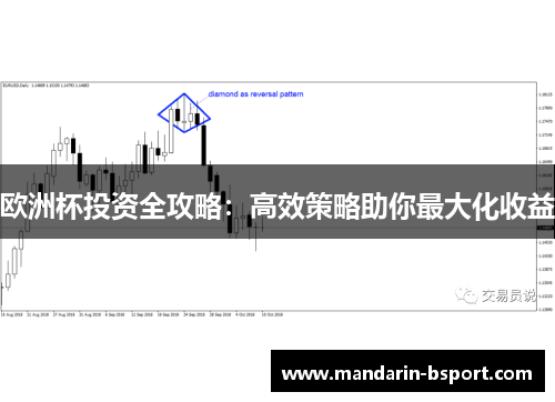欧洲杯投资全攻略：高效策略助你最大化收益