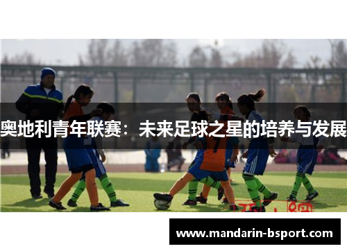 奥地利青年联赛：未来足球之星的培养与发展