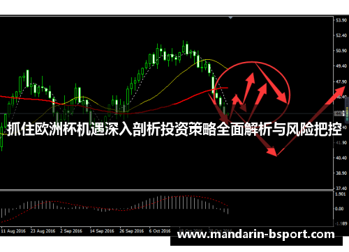 抓住欧洲杯机遇深入剖析投资策略全面解析与风险把控