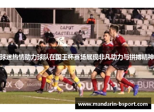 球迷热情助力球队在国王杯赛场展现非凡动力与拼搏精神