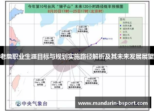 老詹职业生涯目标与规划实施路径解析及其未来发展展望