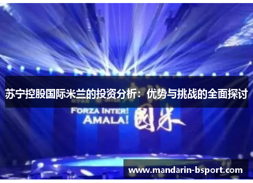 苏宁控股国际米兰的投资分析：优势与挑战的全面探讨