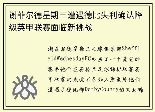 谢菲尔德星期三遭遇德比失利确认降级英甲联赛面临新挑战